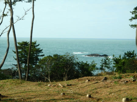 PC050032kl4.jpg