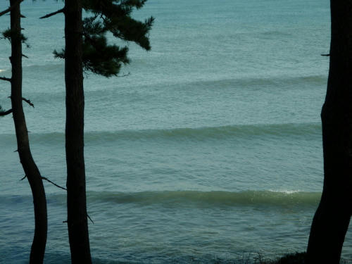 PC050035kl5.jpg