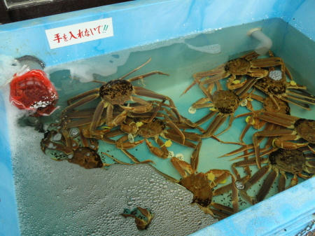 PC050046kl7.jpg