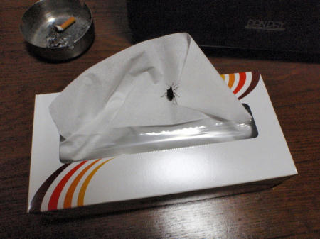 PC060001kl1.jpg