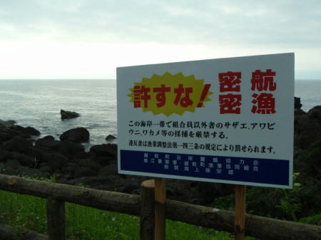 P6080146kl2.jpg