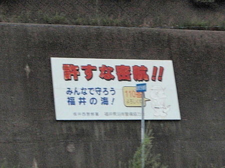 P8101472kl5.jpg