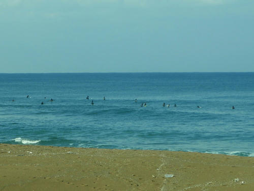 PC190093nm5.jpg