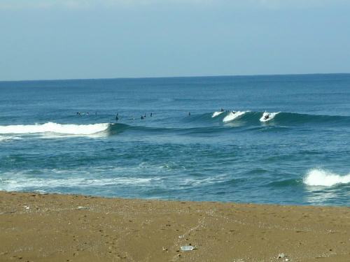 PC190082nm6.jpg