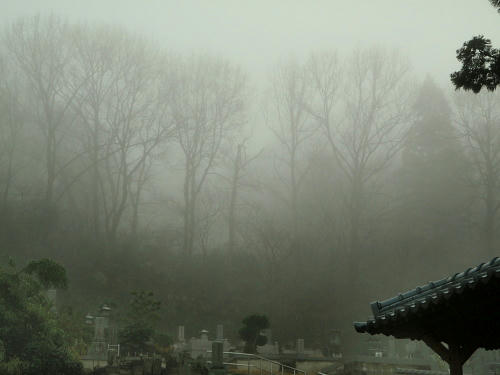 PC210209nm3.jpg