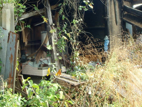 PB180149yu12.jpg