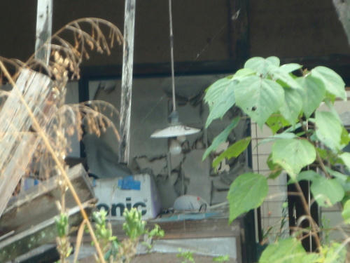 PB180151yu13.jpg