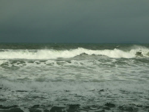 P1020041po2.jpg