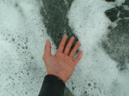 P1020047po4.jpg