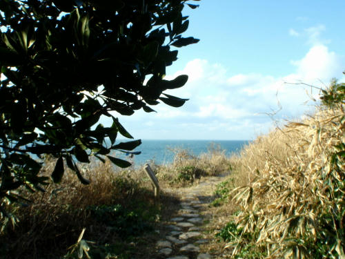 P1030110op10.jpg