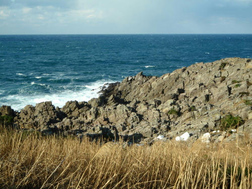 P1030116op13.jpg