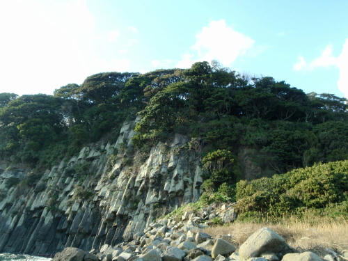 P1030122op16.jpg