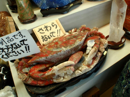 P1030125op14.jpg
