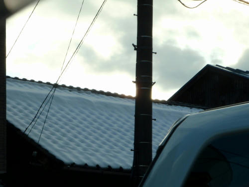 P1110173op1.jpg