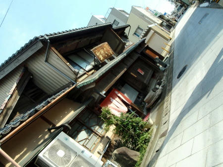 P1130006p1.jpg
