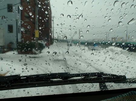 P1140045p2.jpg