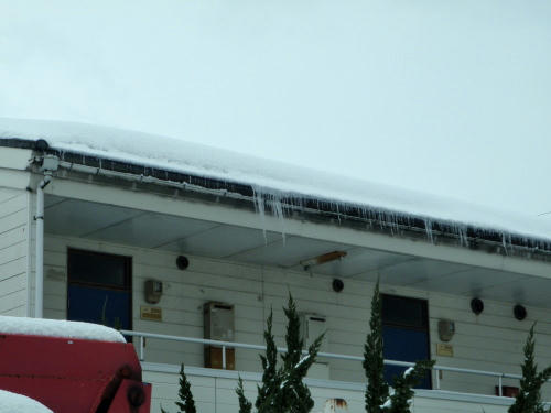 P1160093p4.jpg