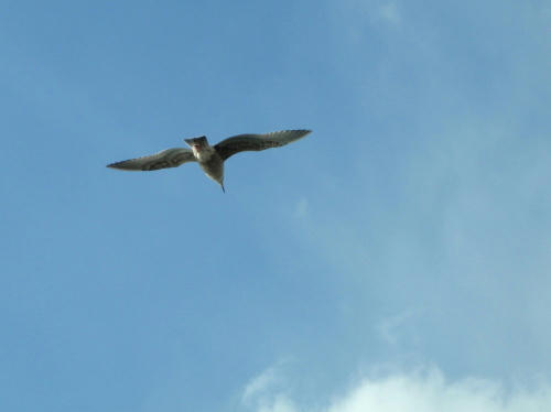 P1180078p10.jpg