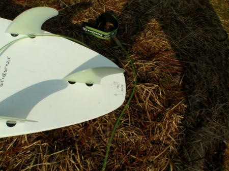 P1240175p7.jpg