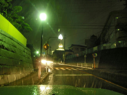 P1250193p5.jpg