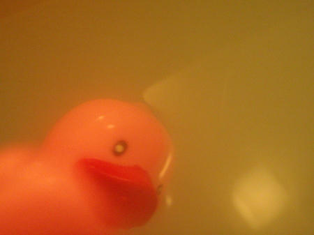 P1260237p11.jpg