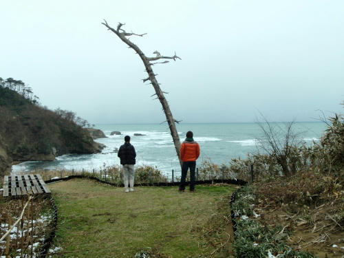 P1280261K5.jpg