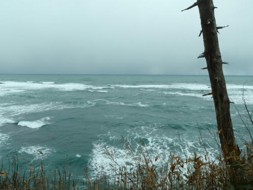 P1280262K6.jpg