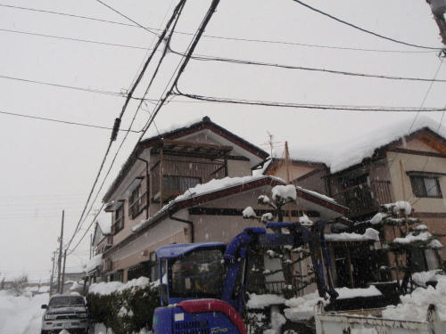 P1310325P5.jpg