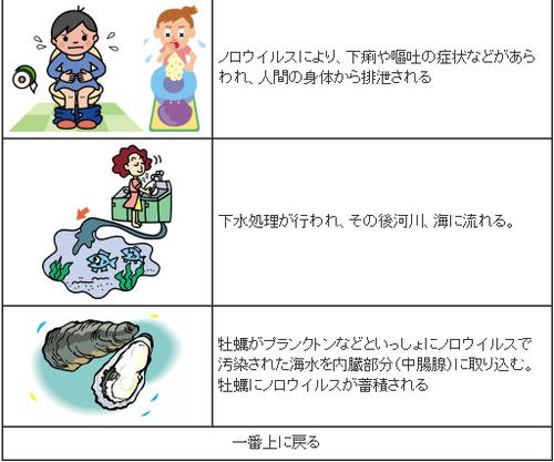 20110205133648fdc.jpg