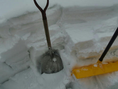 P2010335p2.jpg