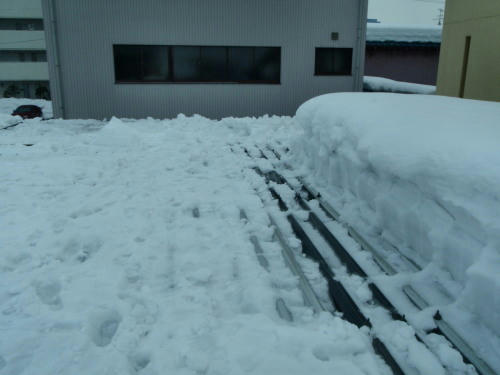 P2010337p3.jpg