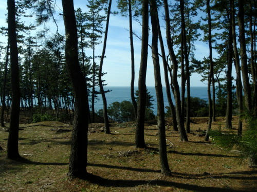 P2190194kl1.jpg