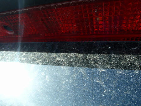 P2190206kl4.jpg