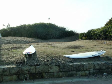 P2190209p2.jpg