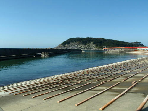 P2220011p7.jpg