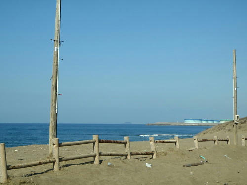 P2220056p4.jpg