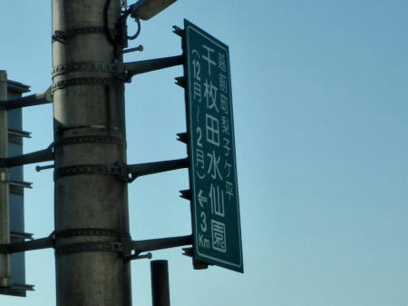 P2220062p6.jpg