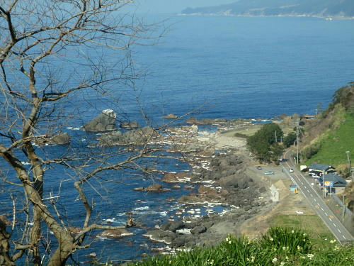 P2220063p7.jpg