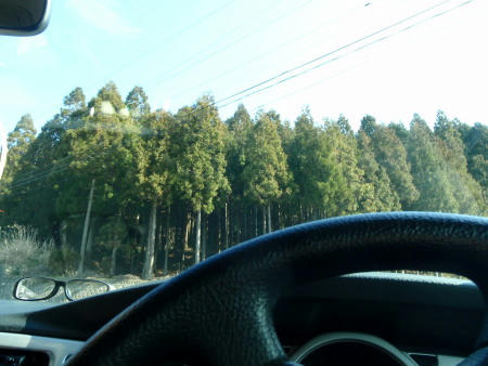 P2220066p8.jpg