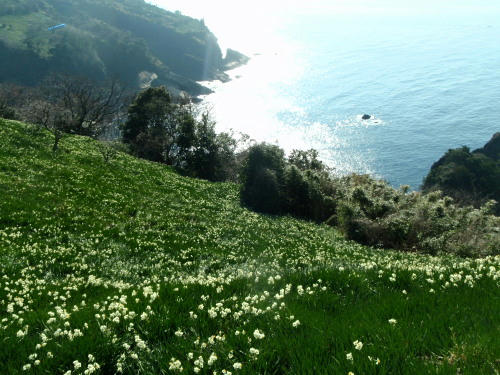 P2220071p10.jpg