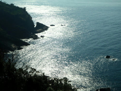 P2220073p11.jpg