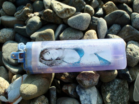 P2220110p4.jpg