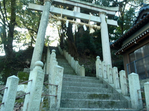 P2220122p6.jpg