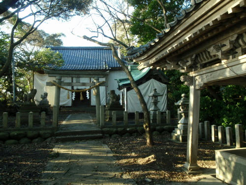 P2220118p7.jpg