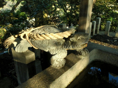 P2220119p8.jpg