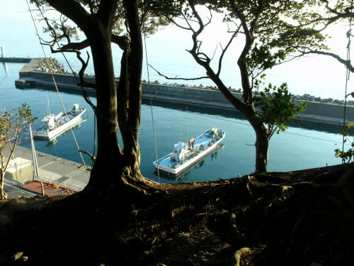 P2220121p9.jpg
