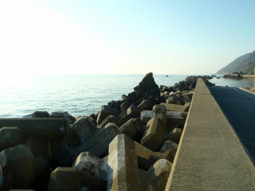 P2220126p10.jpg
