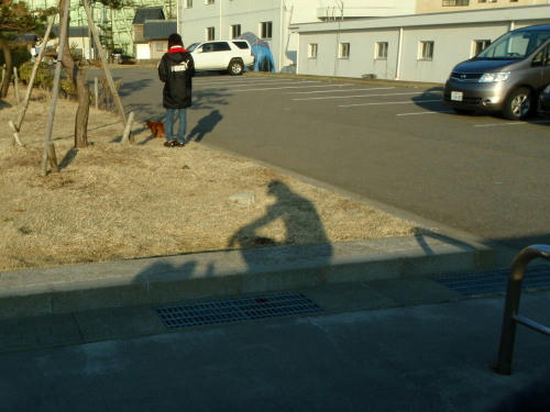 P2220127p12.jpg