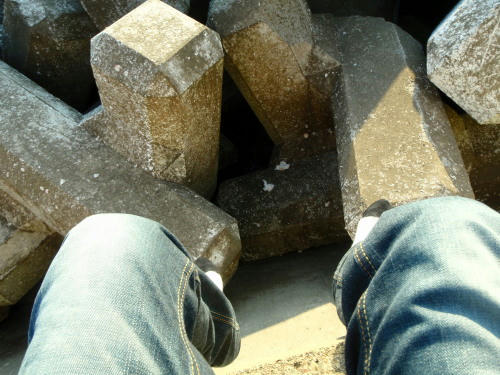 P2220128p13.jpg