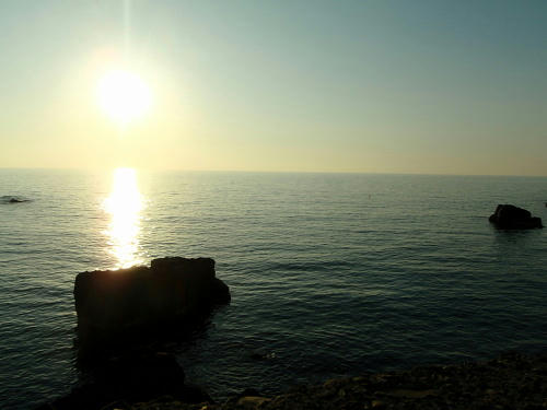 P2220132p15.jpg